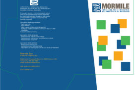 cartelline-mormileOK-01